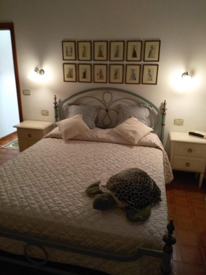 Апартаменти Casa Di Nonna Cate Монтепульчано Екстер'єр фото